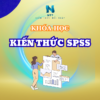 Khóa học SPSS hiệu quả
